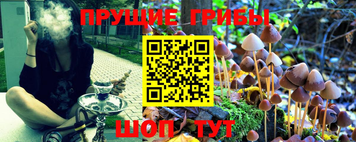 Галлюциногенные грибы мухоморы  Вход с VPN  Якутск 